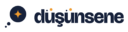 dusunsene.com